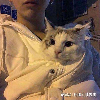 钢铁之躯1.5汉化破解版下载