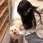 螺旋英雄谭九游客户端下载
